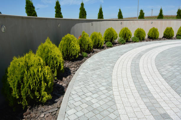 Best Best Driveway Pavers  in Independence, MO